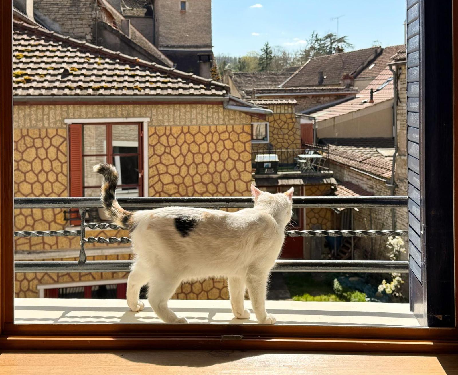 La Petite Maison Noyers-sur-Serein Esterno foto
